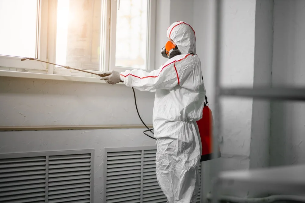 Professional mold remediation services in Ocracoke, NC